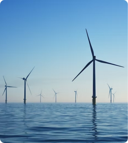 Custom Software Development